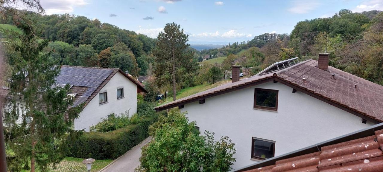 Heppenheim Traumlage Mit Traumblick公寓 外观 照片